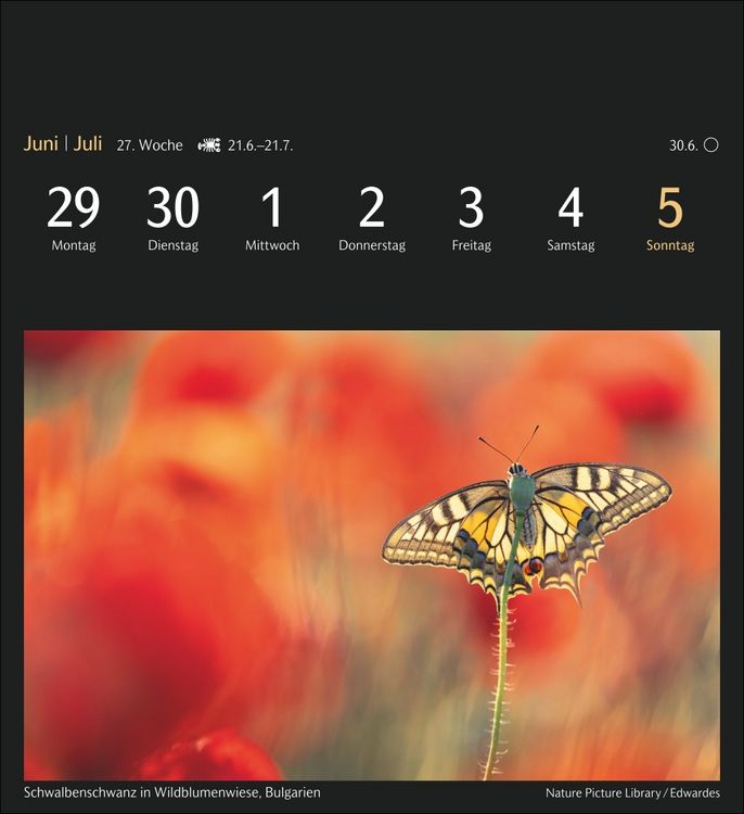 Produktbild: Magic Nature Postkartenkalender Kalender 2026 - Kalender mit 53 Postkarten