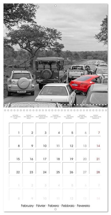 Produktbild: Red spots around the world (Wall Calendar 2027 12 &times; 12 Inch) CALVENDO 12 Month Wall Calendar