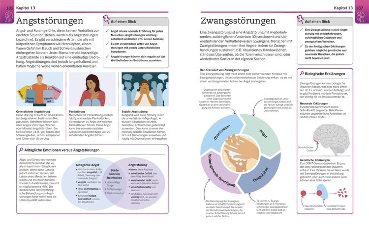 Produktbild: Visuelles Wissen. Psychologie