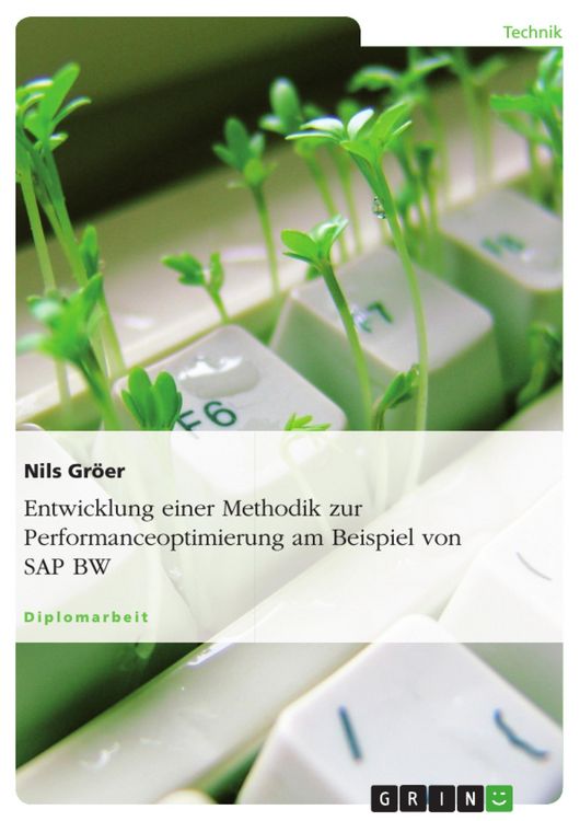 Produktbild: Entwicklung einer Methodik zur Performanceoptimierung am Beispiel von SAP BW