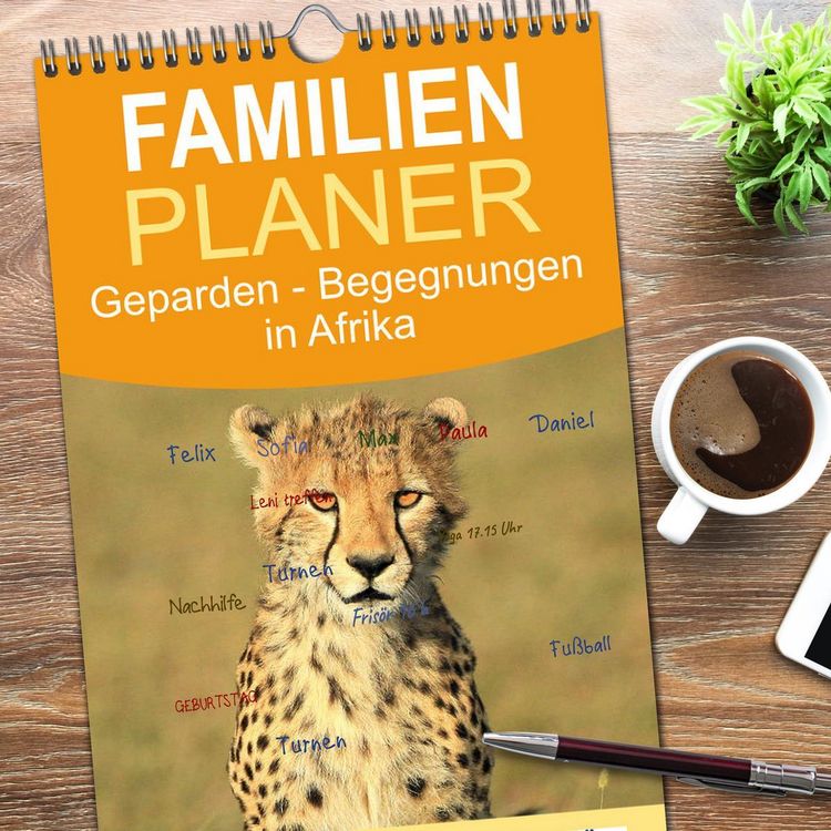 Produktbild: Familienplaner 2026 - Geparden - Begegnungen in Afrika mit 5 Spalten (Wandkalender, 21 x 45 cm) CALVENDO