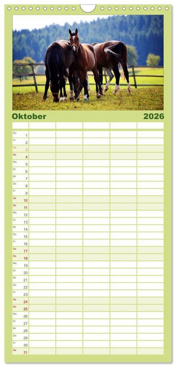 Produktbild: Familienplaner 2026 - Faszination Pferde mit 5 Spalten (Wandkalender, 21 x 45 cm) CALVENDO