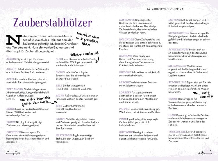 Produktbild: Das gro&szlig;e Buch der Zauberspr&uuml;che und magischen Gegenst&auml;nde f&uuml;r Potter-Fans