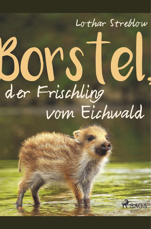 Produktbild: Borstel, der Frischling vom Eichwald