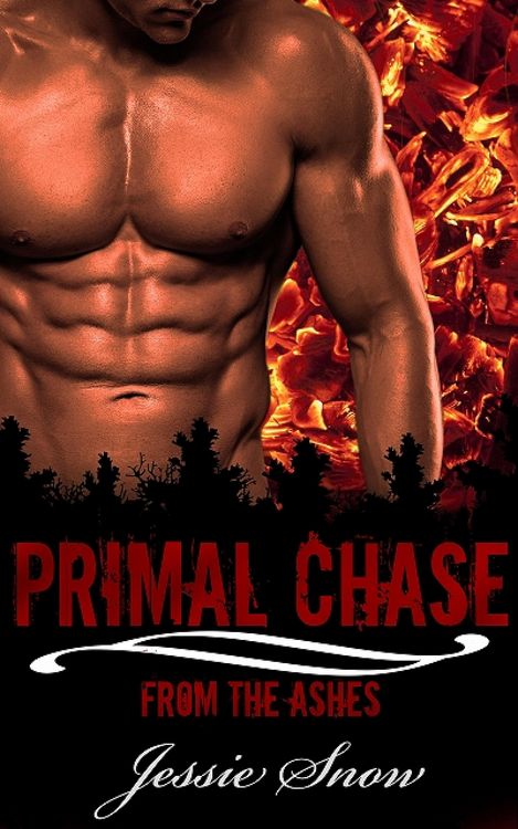 Produktbild: Primal Chase