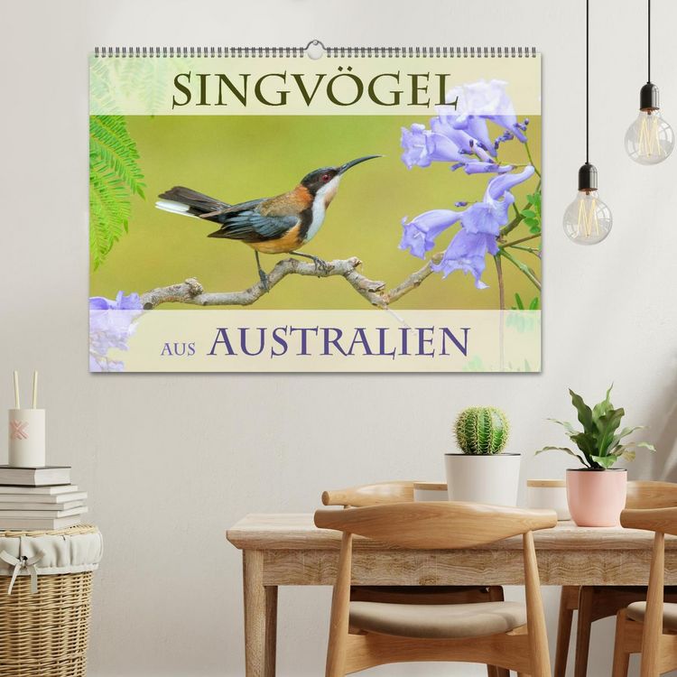 Produktbild: Singv&ouml;gel aus Australien (Wandkalender 2026 DIN A2 quer), CALVENDO Monatskalender