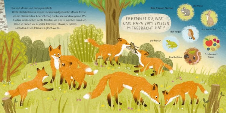 Produktbild: Kennst du mich? Ich bin ein Fuchs!