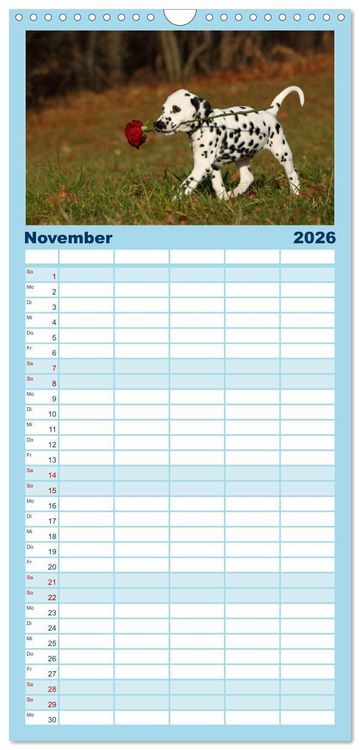 Produktbild: Familienplaner 2026 - Welpen - Puppies mit 5 Spalten (Wandkalender, 21 x 45 cm) CALVENDO