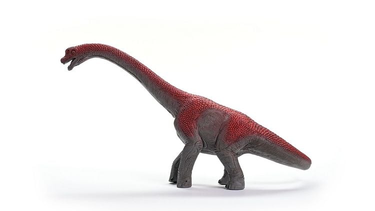 Produktbild: schleich&reg; Dinosaurs Brachiosaurus 17,6cm