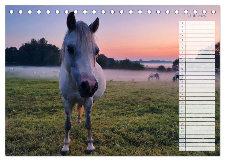 Produktbild: Zwischen Harz und Meer (Tischkalender 2026 DIN A5 quer), CALVENDO Monatskalender
