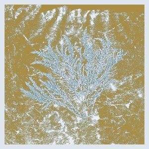 Produktbild: For Those Of You Who Have Never (2LP)