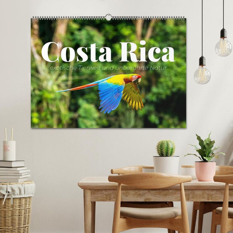 Produktbild: Costa Rica - exotische Tierwelt und unber&uuml;hrte Natur (Wandkalender 2026 DIN A2 quer), CALVENDO Monatskalender
