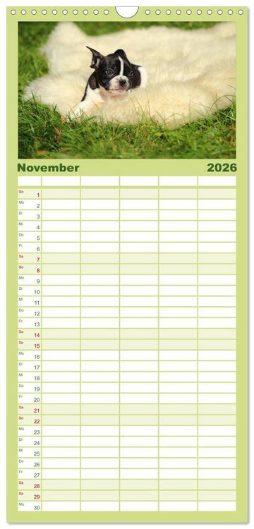 Produktbild: Familienplaner 2026 - Franz&ouml;sische Bulldoggen mit 5 Spalten (Wandkalender, 21 x 45 cm) CALVENDO