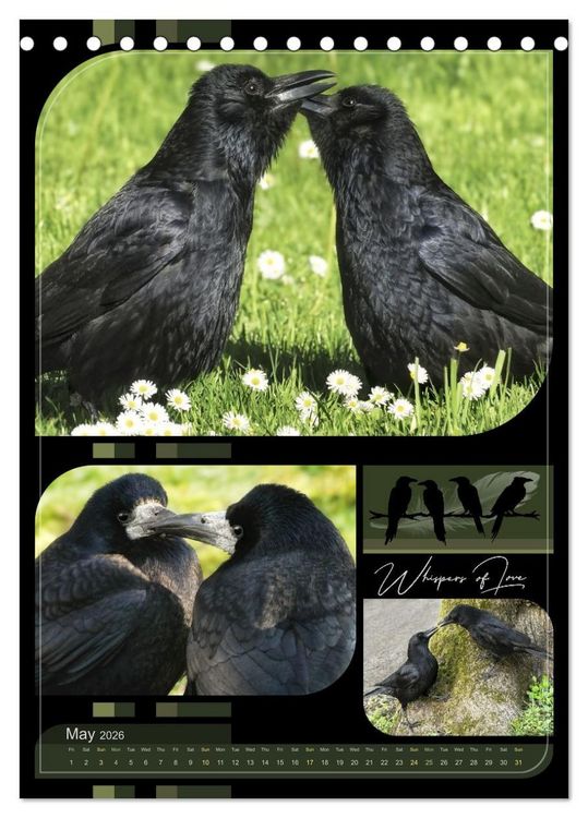 Produktbild: Crows - Through the Seasons (Desk Calendar 2026 DIN A5 portrait), CALVENDO 12 Month DeskCalendar