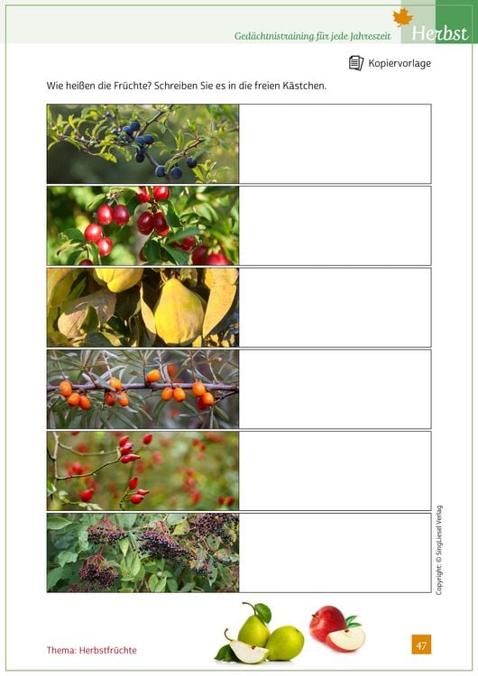 Produktbild: Ged&auml;chtnistraining f&uuml;r jede Jahreszeit - Herbst. F&uuml;r Senioren. Auch mit Demenz. Mit Kopiervorlagen