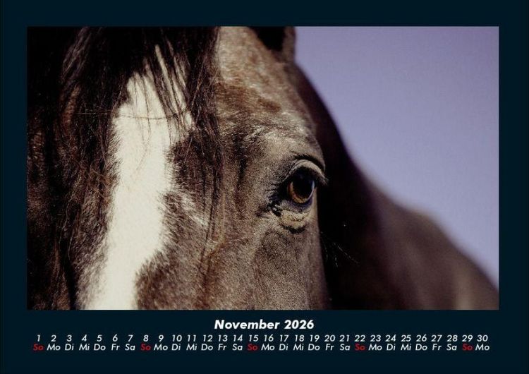 Produktbild: Pferdegefl&uuml;ster 2026 Fotokalender DIN A4