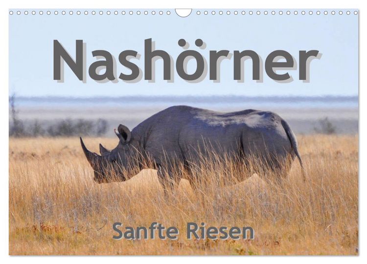 Produktbild: Nash&ouml;rner - Sanfte Riesen (Wandkalender 2026 DIN A3 quer), CALVENDO Monatskalender