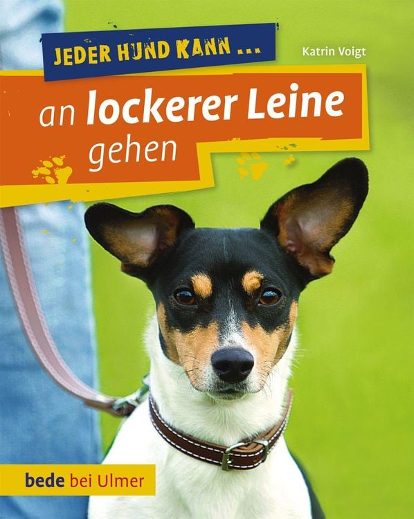 Bild vom Artikel Jeder Hund kann an lockerer Leine gehen vom Autor Katrin Voigt