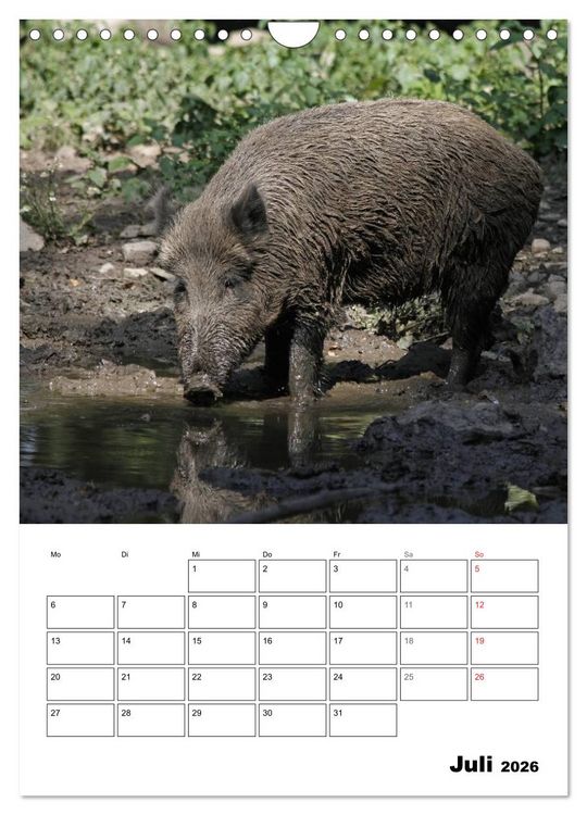 Produktbild: Der wildschweinische Terminplaner (Wandkalender 2026 DIN A4 hoch), CALVENDO Monatskalender