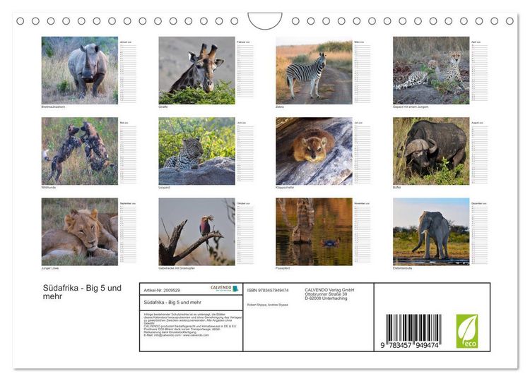 Produktbild: S&uuml;dafrika - Big 5 und mehr (Wandkalender 2026 DIN A4 quer), CALVENDO Monatskalender