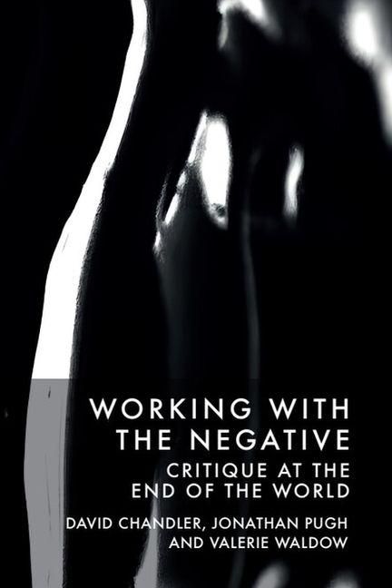 Produktbild: Working with the Negative