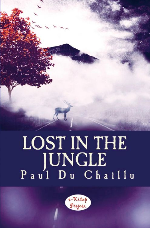 Produktbild: Lost in the Jungle