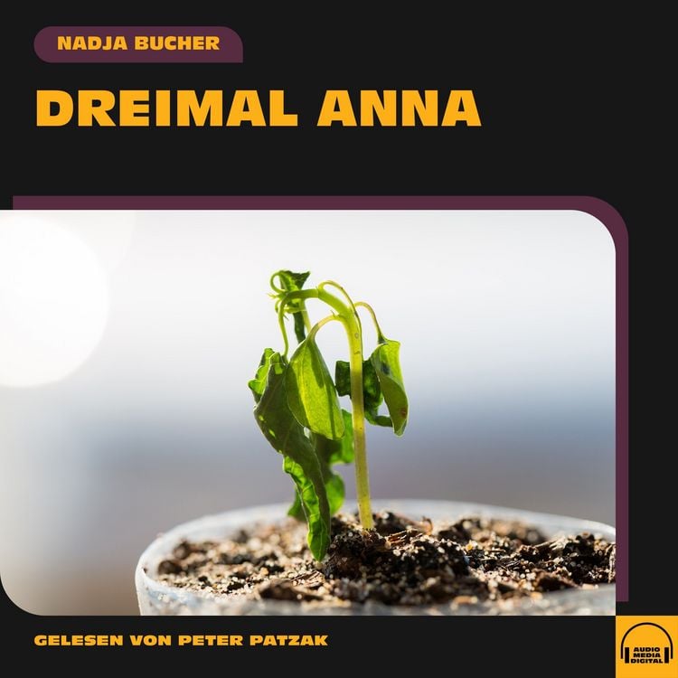 Produktbild: Dreimal Anna