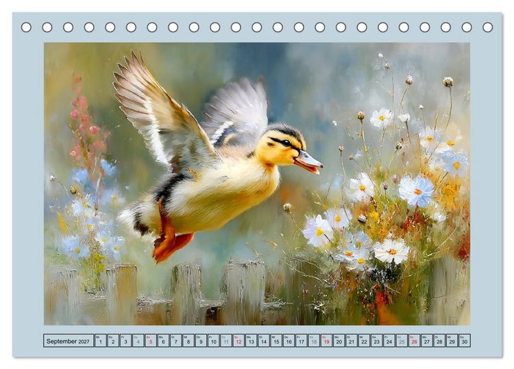 Produktbild: Zwergenten. Bezaubernde Schreih&auml;lse in der Natur (Tischkalender 2027 DIN A5 quer), CALVENDO Monatskalender