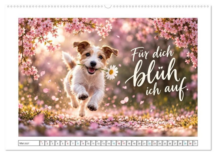 Produktbild: Zum Gl&uuml;ck gibt&rsquo;s Hunde (Wandkalender 2027 DIN A2 quer), CALVENDO Monatskalender