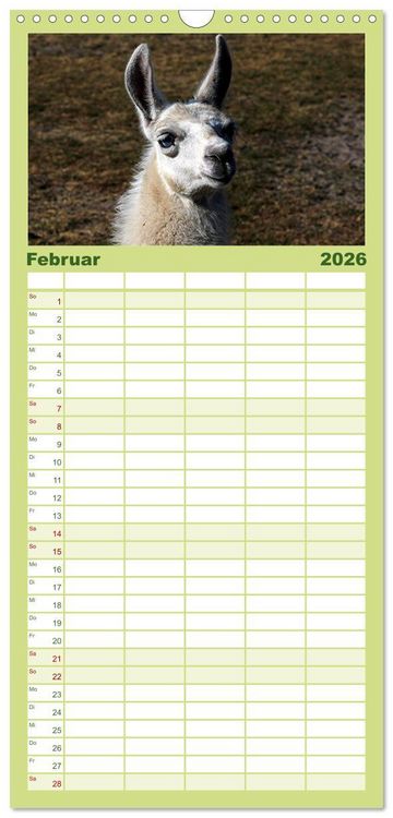 Produktbild: Familienplaner 2026 - Lama-Kalender mit 5 Spalten (Wandkalender, 21 x 45 cm) CALVENDO