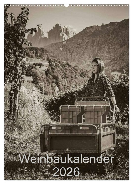 Produktbild: Weinbaukalender 2026 (Wandkalender 2026 DIN A2 hoch), CALVENDO Monatskalender