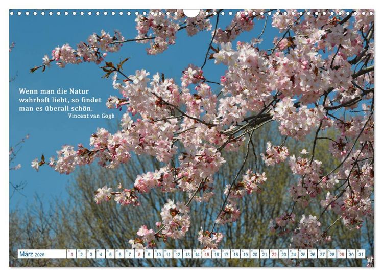 Produktbild: Kraftquelle Natur (Wandkalender 2026 DIN A3 quer), CALVENDO Monatskalender