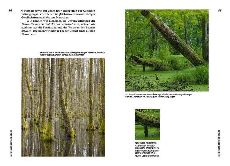 Strategien der Natur