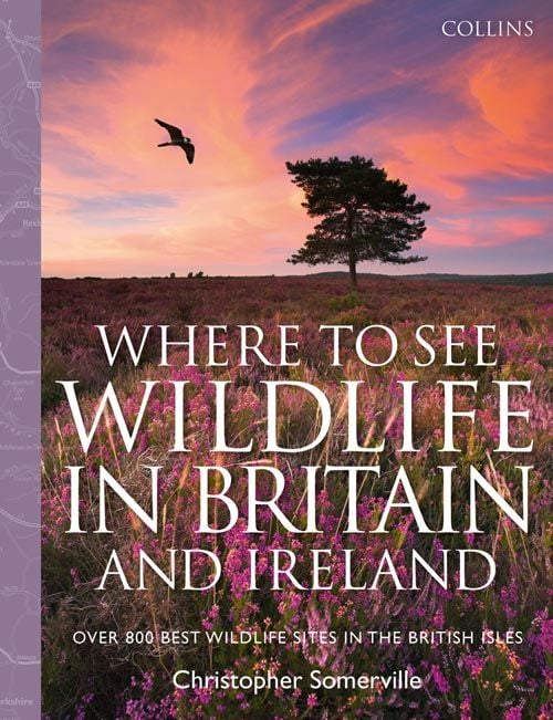 Produktbild: Somerville, C: Collins Where to See Wildlife in Britain and