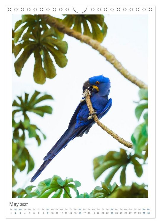 Produktbild: Pantanal Wildlife Photography (Wall Calendar 2027 DIN A4 portrait), CALVENDO 12 Month Wall Calendar