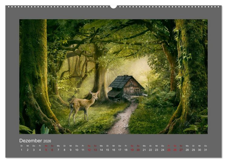 Produktbild: Vom Zauber der Einsamkeit (hochwertiger Premium Wandkalender 2026 DIN A2 quer), Kunstdruck in Hochglanz