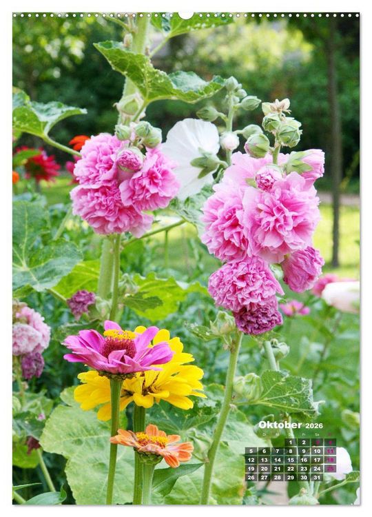 Produktbild: Malvenbl&uuml;te (Wandkalender 2026 DIN A2 hoch), CALVENDO Monatskalender
