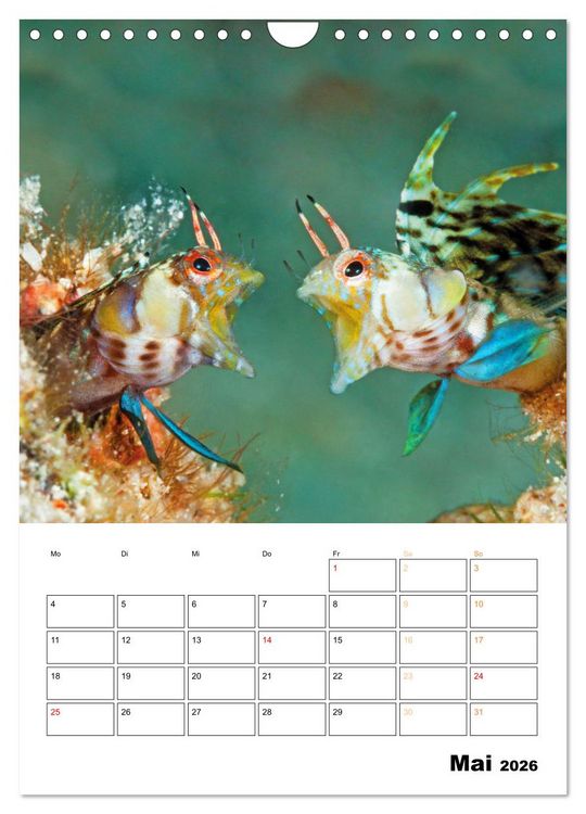 Produktbild: Farbrausch unter Wasser: Fische am Riff (Wandkalender 2026 DIN A4 hoch), CALVENDO Monatskalender