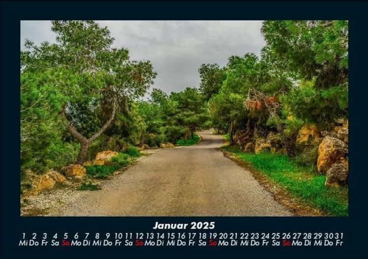 Produktbild: B&auml;ume 2025 Fotokalender DIN A5