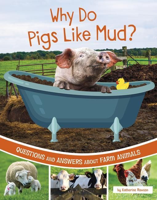 Produktbild: Why Do Pigs Like Mud?