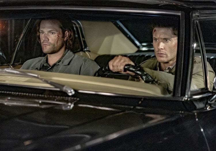 Supernatural: Staffel 15 [5 DVDs] als DVD kaufen