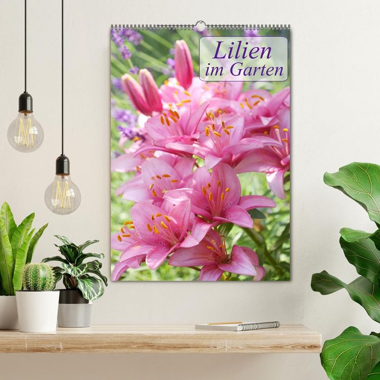 Produktbild: Lilien im Garten (Wandkalender 2026 DIN A2 hoch), CALVENDO Monatskalender