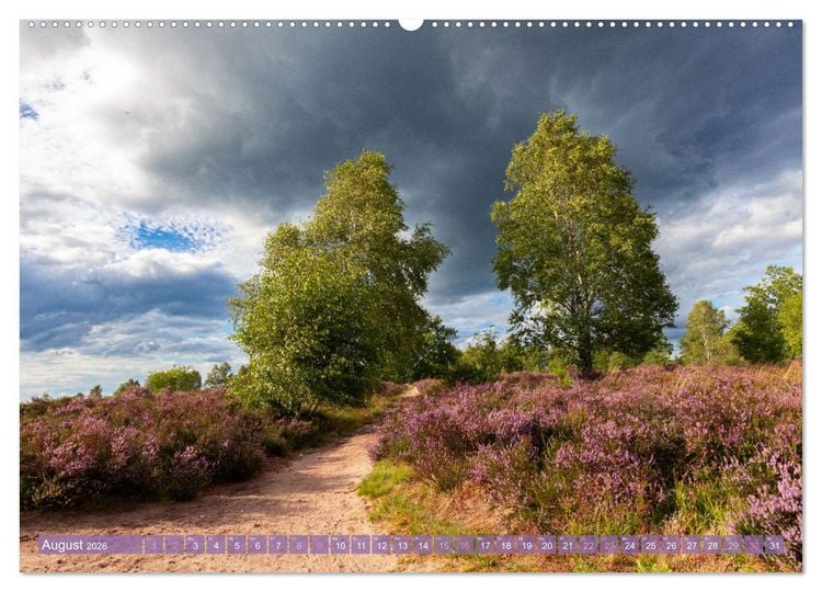 Produktbild: Im Bl&uuml;tenrausch der L&uuml;neburger Heide (Wandkalender 2026 DIN A2 quer), CALVENDO Monatskalender