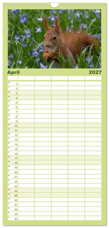 Produktbild: Familienplaner 2027 - Mit dem Eichh&ouml;rnchen durchs Jahr mit 5 Spalten (Wandkalender, 21 x 45 cm) CALVENDO