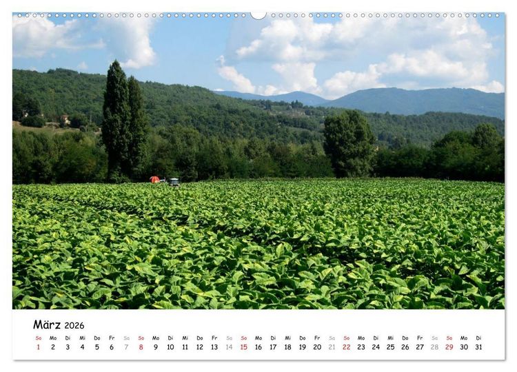 Produktbild: Camino di Assisi - Franziskusweg (hochwertiger Premium Wandkalender 2026 DIN A2 quer), Kunstdruck in Hochglanz