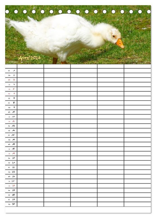 Produktbild: Bauernhoftiere Familienplaner (Tischkalender 2026 DIN A5 hoch), CALVENDO Monatskalender