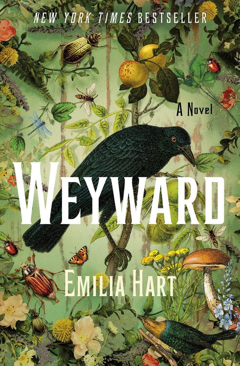 Produktbild: Weyward