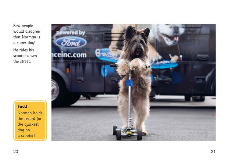 Produktbild: Super Dogs