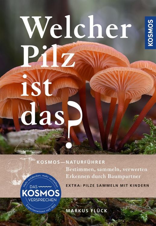 Produktbild: Welcher Pilz ist das?
