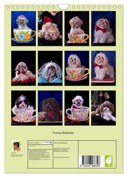Produktbild: Funny Bolonka (Wandkalender 2026 DIN A4 hoch), CALVENDO Monatskalender